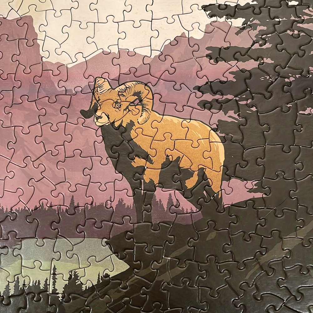 EUC Rocky Mountain National Park 500 Pieces Puzzle, True South Co. - Picture 3 of 7